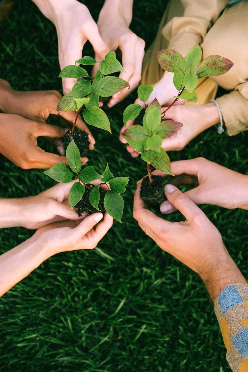 Environmental Assessment Case